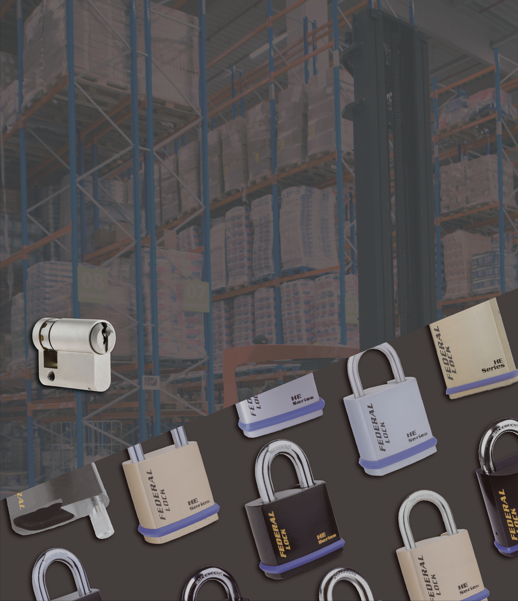 EURO Profile Cylinder Padlocks